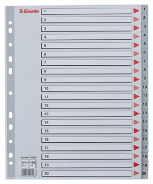 Esselte Registru PP A4 maxi 1-20 gri