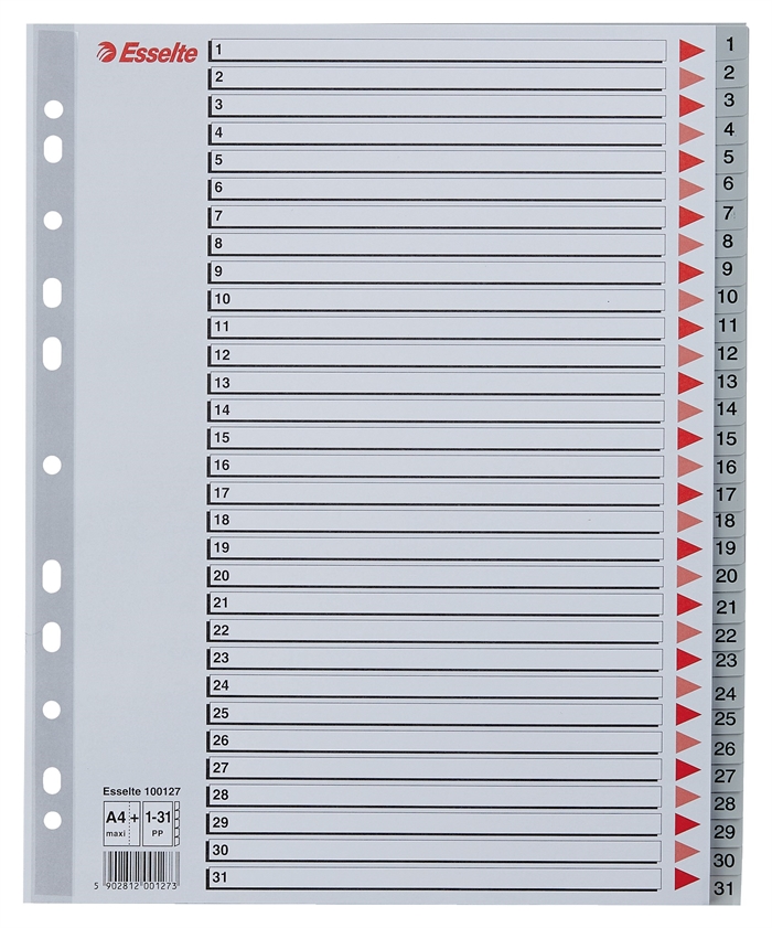 Esselte Registru PP A4 maxi 1-31 gri