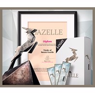 Børsen Gazelle companie 2019!