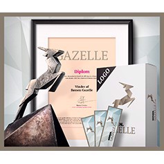 Børsen Gazelle companie 2019!