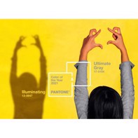 Culoarea Pantone a anului 2021 a sosit!