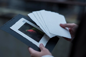 Awagami Shiramine Postcards - 260 g/m², 20 coli