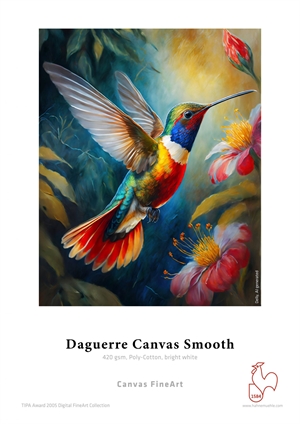 Hahnemühle Daguerre Canvas Smooth 420 g/m² - 17" x 12 metri